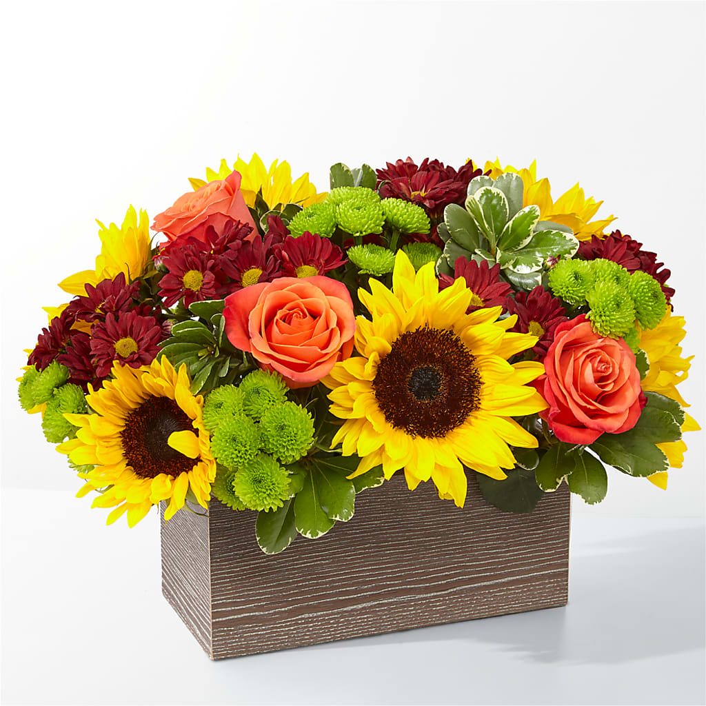 Happy Harvest Garden – Blossom Bloom, Orlando FL