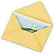Greeting Card – Blossom Bloom, Orlando FL