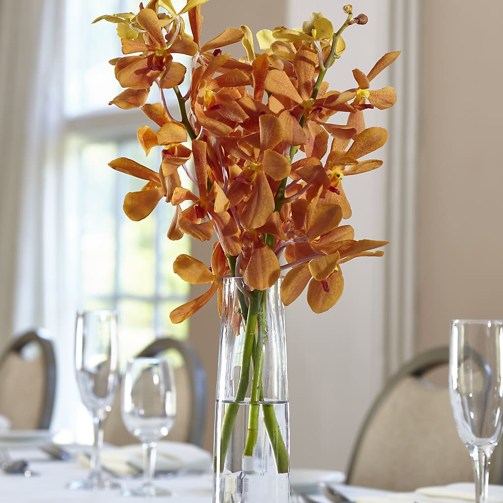 Orange Mokara Bud Vase – Blossom Bloom, Orlando FL