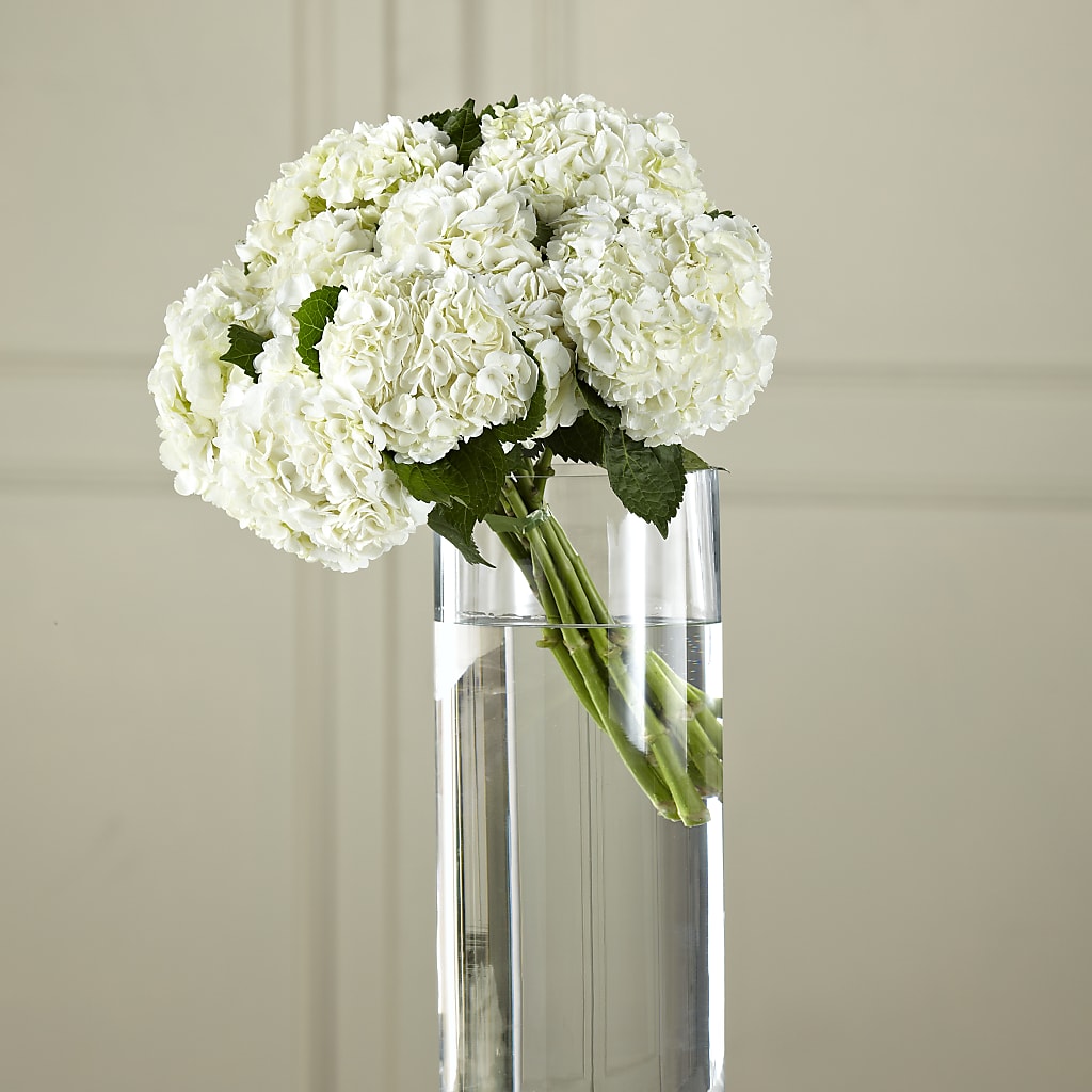 White Hydrangea Hand-Tied Bouquet – Blossom Bloom, Orlando FL