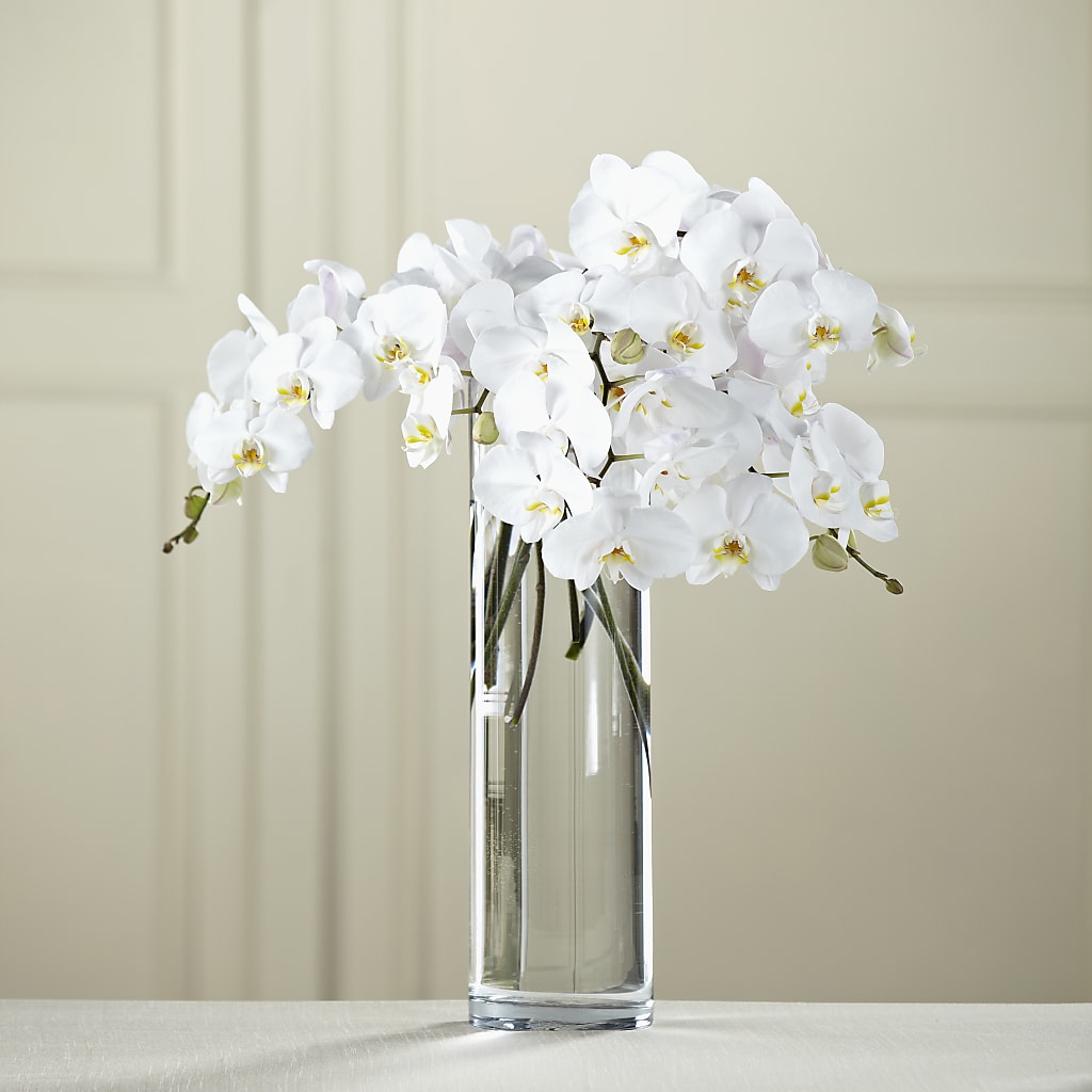 White Phalaenopsis Bouquet – Blossom Bloom, Orlando FL