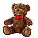 Adorable Plush Bear –  Blossom Bloom, Orlando FL