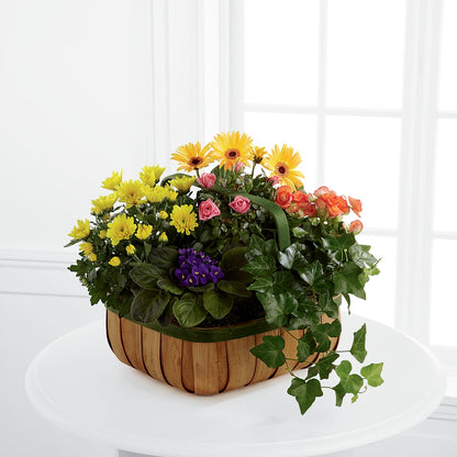Gentle Blossoms Basket –  Blossom Bloom, Orlando FL