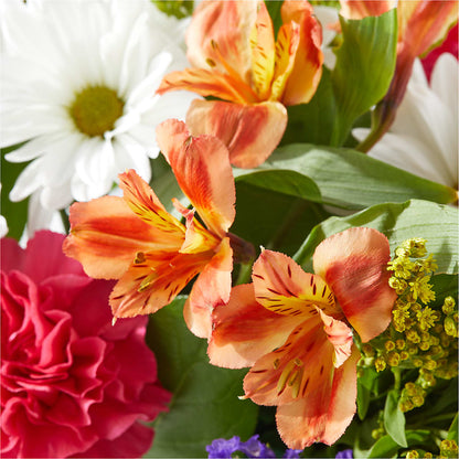 Oopsie Daisy Box Bouquet –  Blossom Bloom, Orlando FL