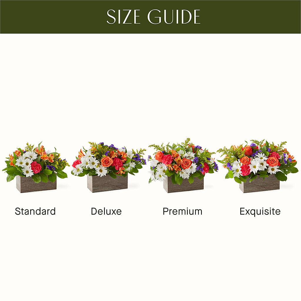 Oopsie Daisy Box Bouquet –  Blossom Bloom, Orlando FL