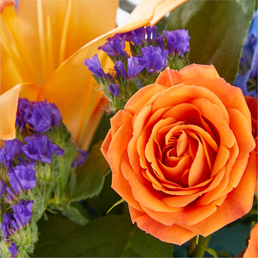 Radiant Citrus Box Bouquet –  Blossom Bloom, Orlando FL