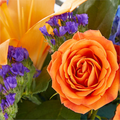 Radiant Citrus Box Bouquet –  Blossom Bloom, Orlando FL