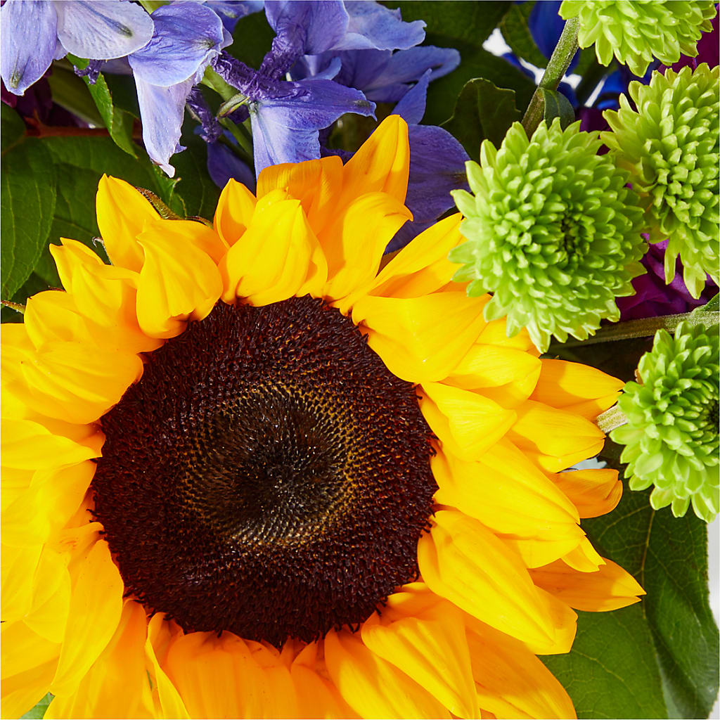 Catching Rays Bouquet –  Blossom Bloom, Orlando FL