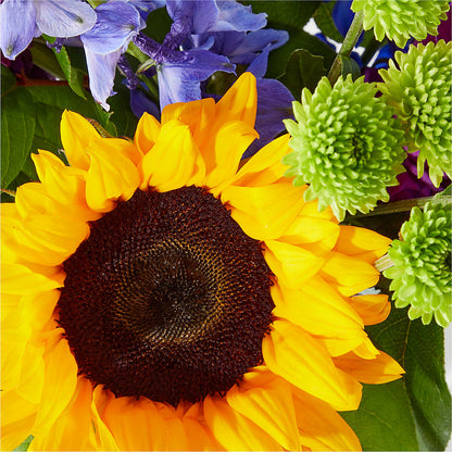 Catching Rays Bouquet –  Blossom Bloom, Orlando FL