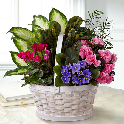 Peaceful Garden Planter –  Blossom Bloom, Orlando FL