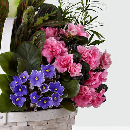 Peaceful Garden Planter –  Blossom Bloom, Orlando FL