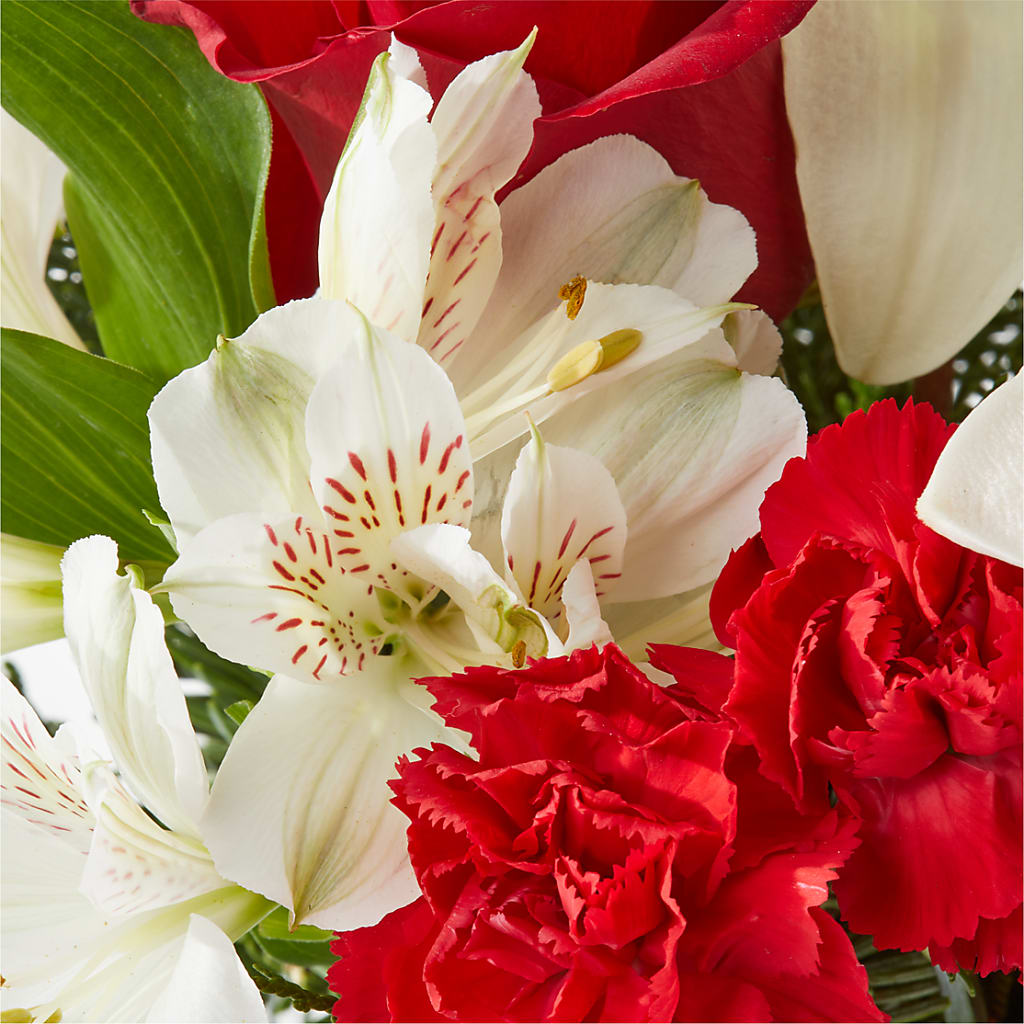 Holiday Season Bouquet –  Blossom Bloom, Orlando FL