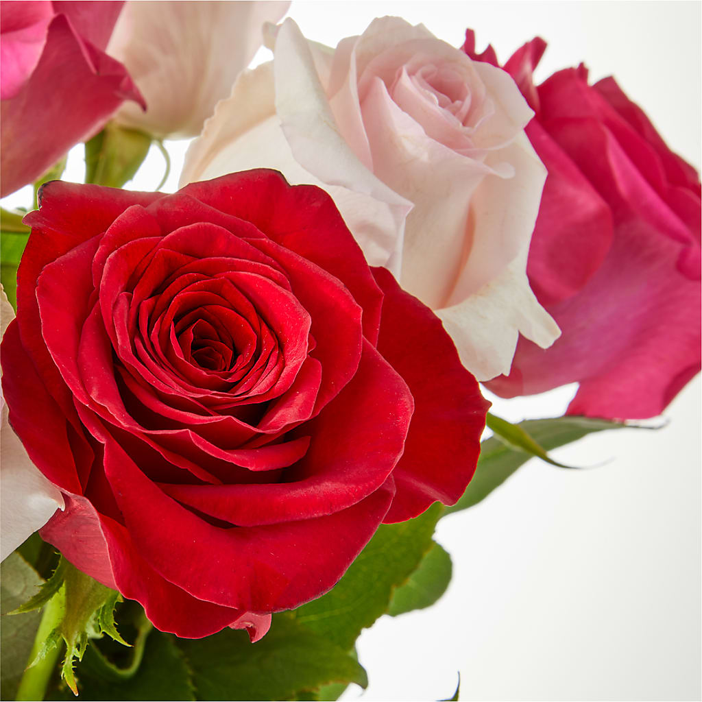 Charming Rose Bouquet –  Blossom Bloom, Orlando FL