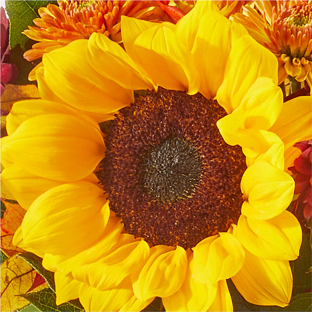 Sunny Side Bouquet –  Blossom Bloom, Orlando FL