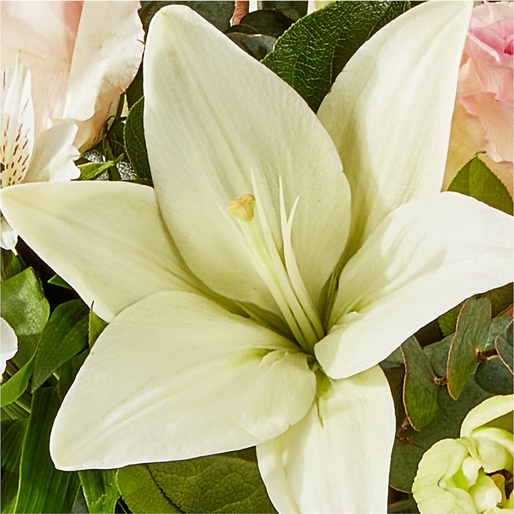 Ballet Slippers Bouquet –  Blossom Bloom, Orlando FL