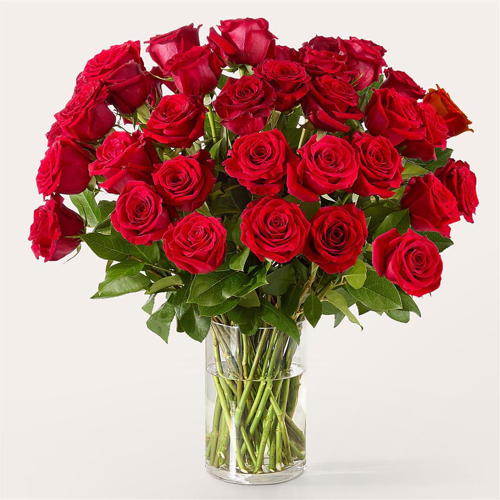 The One Red Rose Bouquet –  Blossom Bloom, Orlando FL