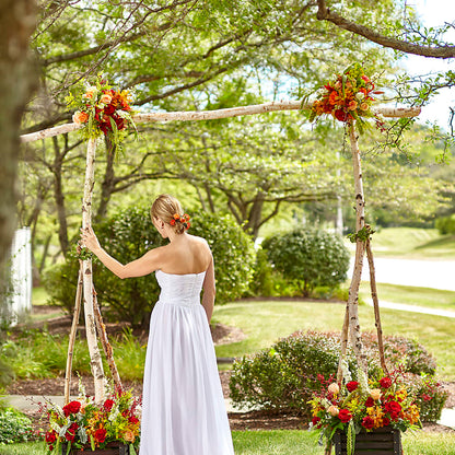 Arbor of Love Archway –  Blossom Bloom, Orlando FL