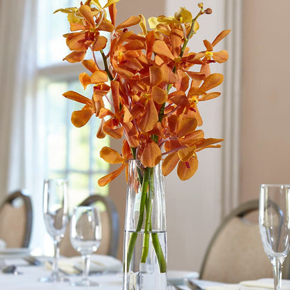 Orange Mokara Bud Vase –  Blossom Bloom, Orlando FL