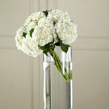 White Hydrangea Hand-Tied Bouquet –  Blossom Bloom, Orlando FL