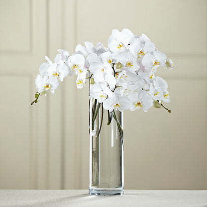 White Phalaenopsis Bouquet –  Blossom Bloom, Orlando FL